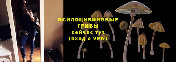 меф Алексин