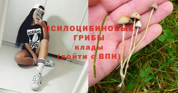 ГАЛЛЮЦИНОГЕННЫЕ ГРИБЫ Покров