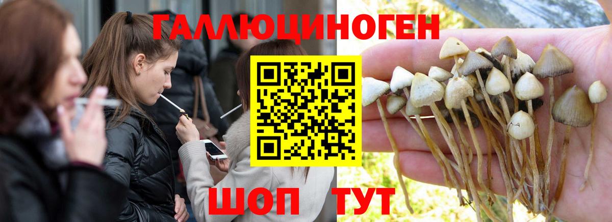 Можга  где найти наркотики  Вход с VPN  Псилоцибиновые грибы GOLDEN TEACHER  Галлюциногенные грибы GOLDEN TEACHER 