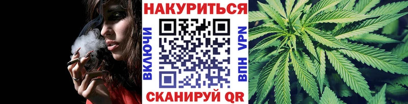 Каннабис планчик Можга