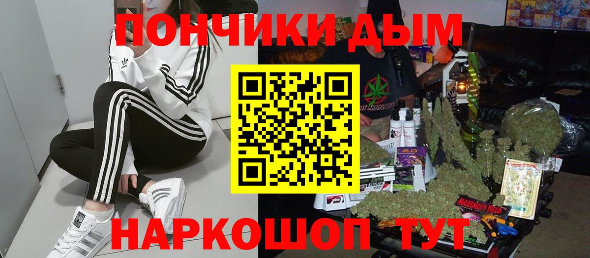 Бошки Шишки индика Можга
